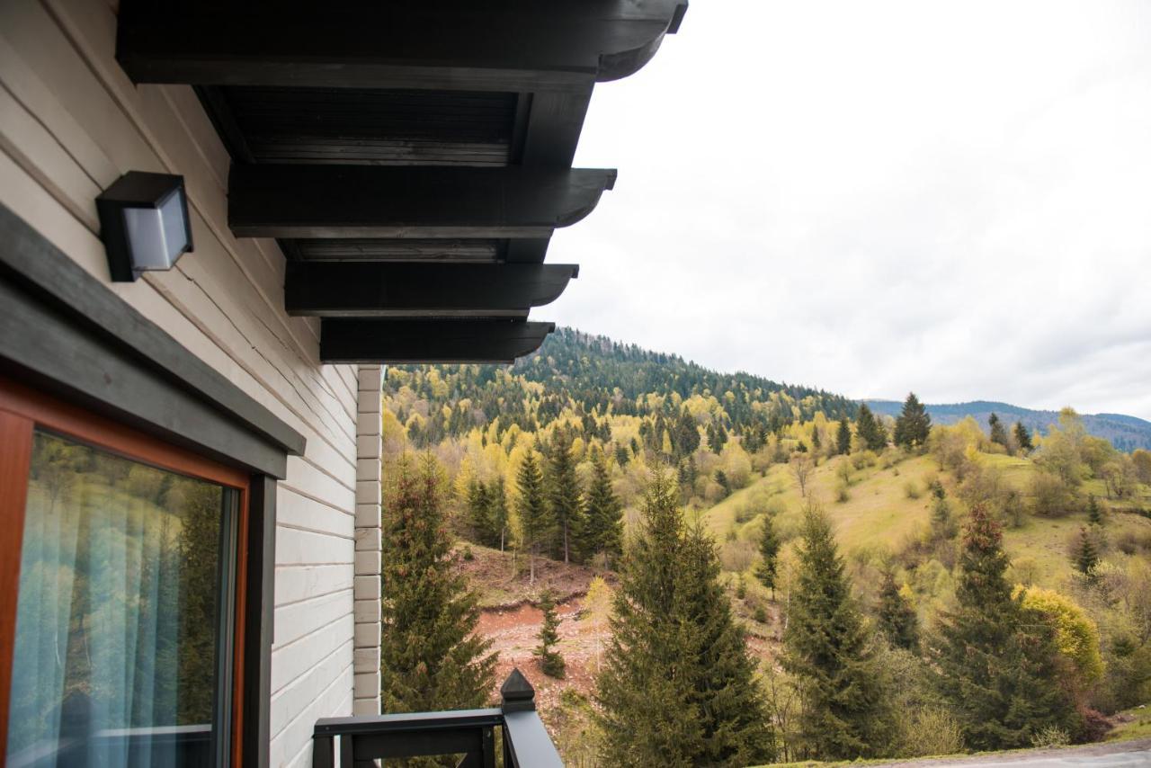 Chalet Carpat Dream Синевир Екстер'єр фото