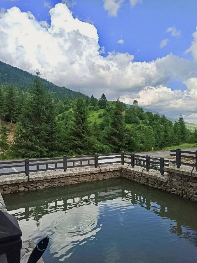 Chalet Carpat Dream Синевир Екстер'єр фото