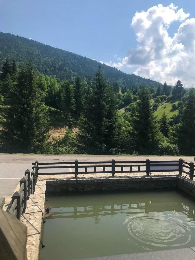 Chalet Carpat Dream Синевир Екстер'єр фото